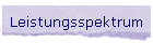Leistungsspektrum